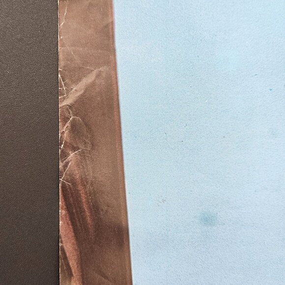 Rare Vintage Braniff Travel Poster for Federal Republic of Germany - Picture 6 of 10